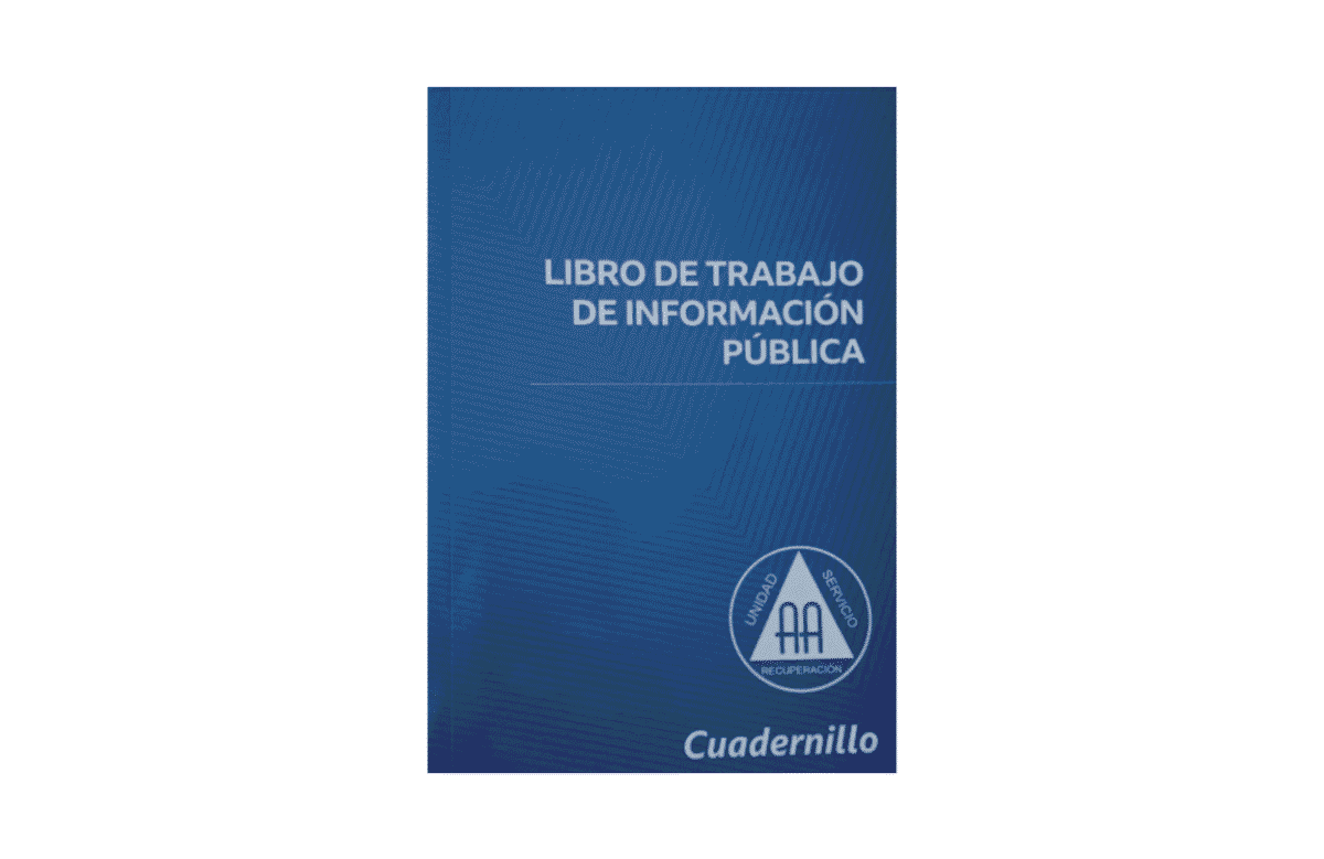 Libro de Trabajo de Información Pública