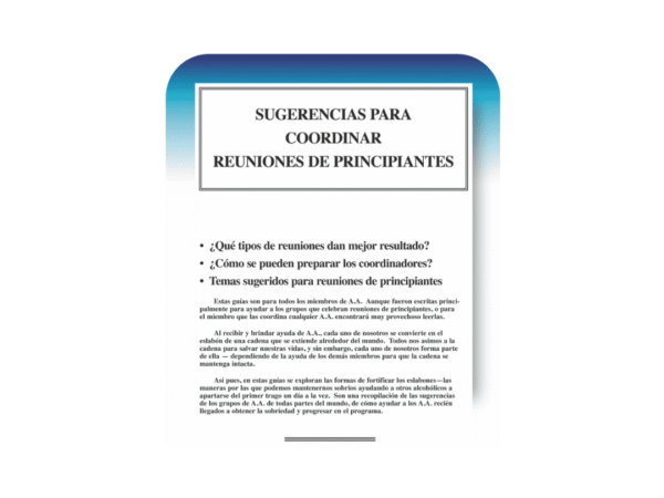 Sugerencias para coordinar reunión de principiantes